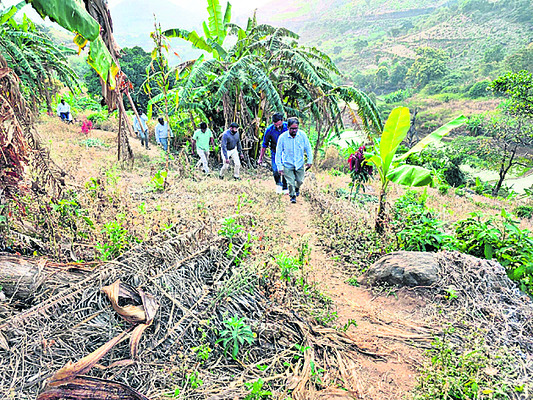 కొఠియాలో కలెక్టర్‌ పర్యటన1
