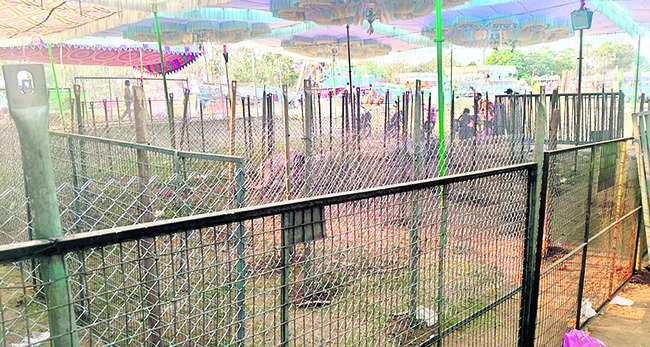 ఎల్లారమ్మ జాతరకు సర్వం సిద్ధం 2