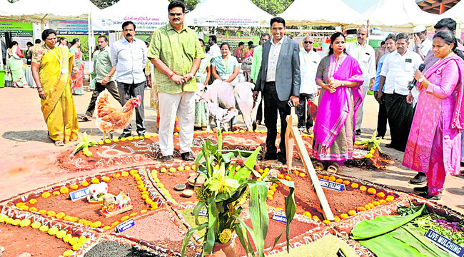 విజయవాడ సిటీ1