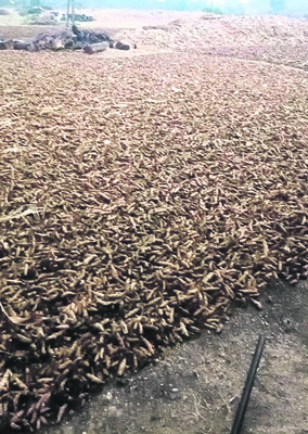 నిజామాబాద్‌2