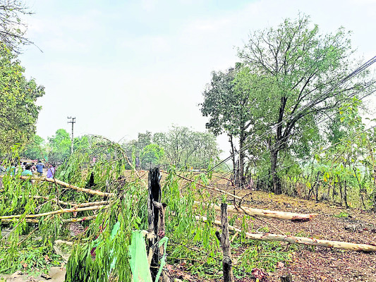 వడగండ్ల వాన బీభత్సం.. 2