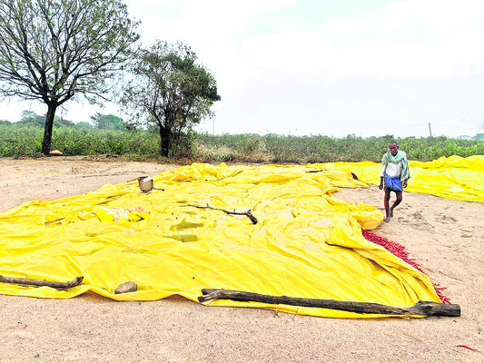 వడగండ్ల వాన బీభత్సం.. 1