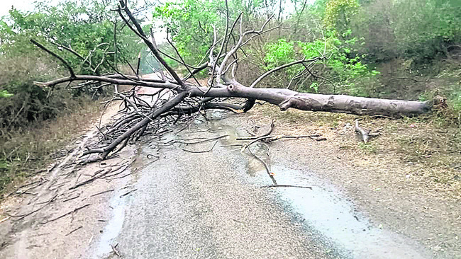 నిర్మల్‌4