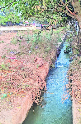 బరితెగించిన మట్టి దొంగలు! 1