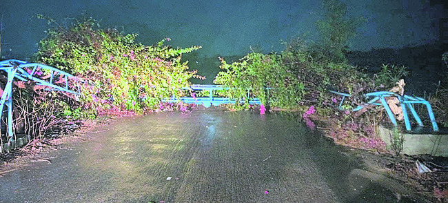 నిర్మల్‌1