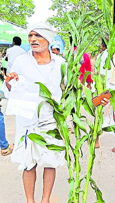 అర్జీల పరిష్కారంపై ప్రత్యేక దృష్టి సారించాలి 1