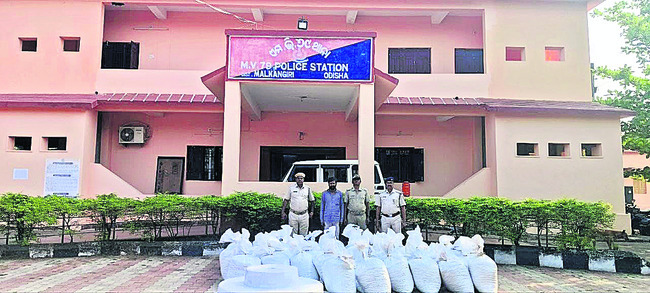 1025 కిలోల గంజాయి పట్టివేత 2