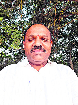 మామిడి.. మాకొద్దు..3