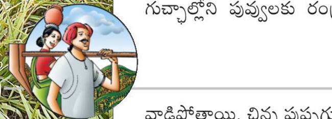 అంతోటా తెగుళ్లు 2