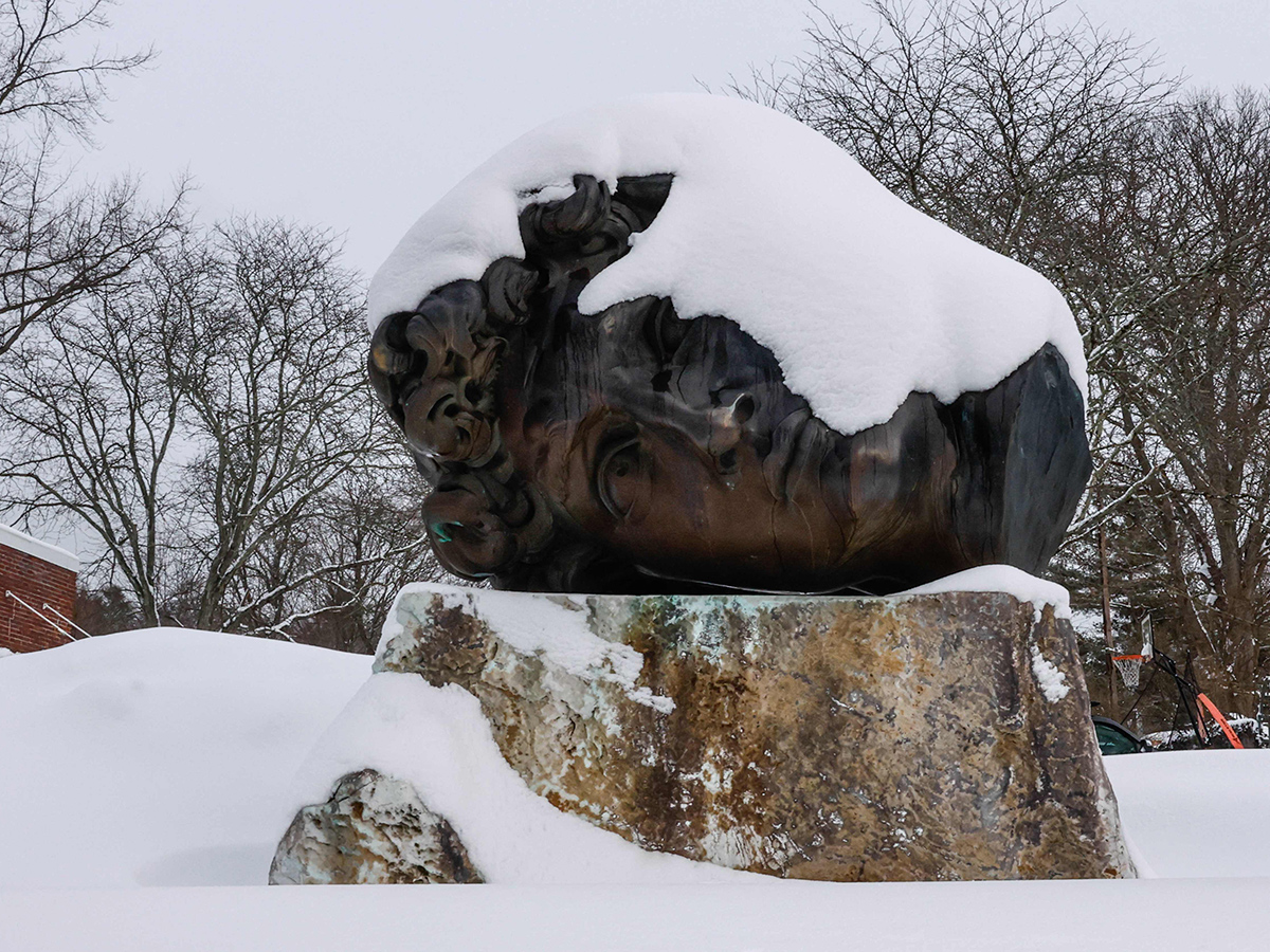 New York : Snow Covers a River During a Snowstorm 8