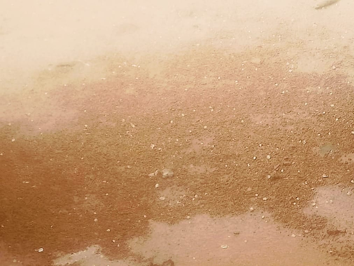 Vadagalla Varsham in Telangana 2026 Photos11