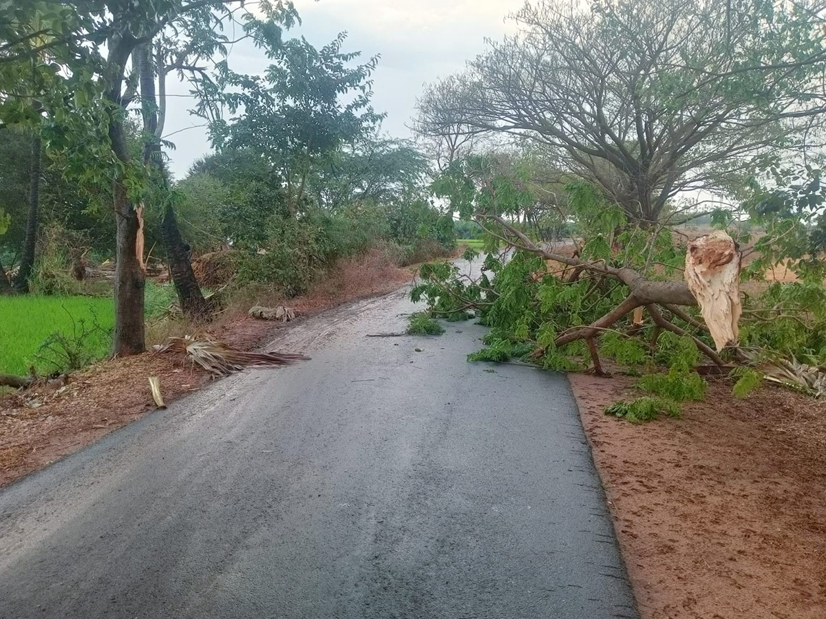 Vadagalla Varsham in Telangana 2026 Photos18