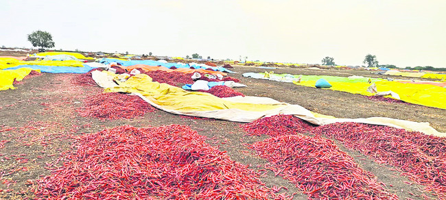 అకాల కష్టాలు మొదలు 
4