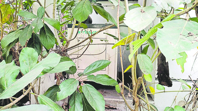 జగనన్న పాల వెల్లువ భవనంపై ‘జగనన్న’ పేరుకు టీడీపీ నేతలు 2