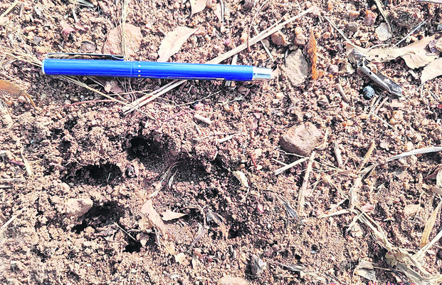 రైతులు ఆందోళన చెందొద్దు 1