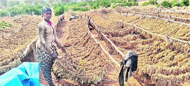 అకాల కష్టాలు మొదలు 
3