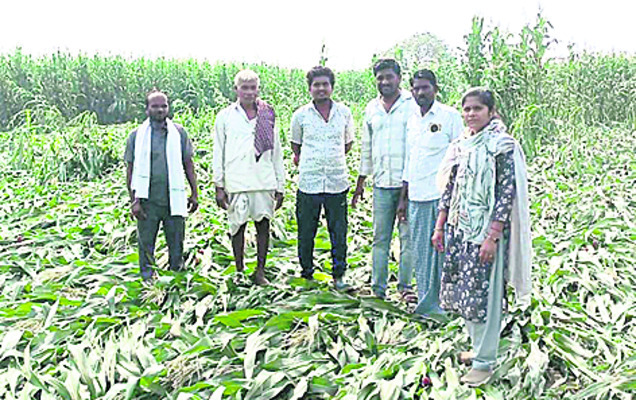 నిర్మల్‌2