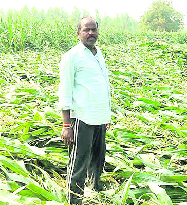 నిర్మల్‌1