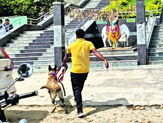 శ్రీకృష్ణుడి ఆలయంలో భారీ చోరీ 1