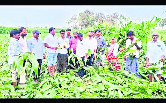 నిండా ముంచిన వాన 3