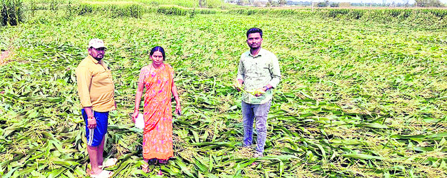 నిండా ముంచిన వాన 2