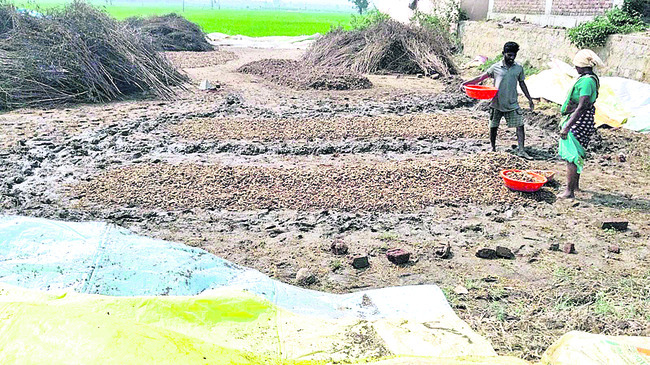 నిర్మల్‌4