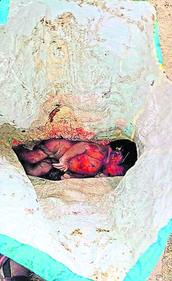 నేనేం చేశాను ‘పాప’ం? 1