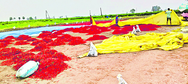 అకాల వర్షం.. పంటలకు నష్టం 1