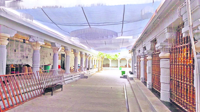 వెంకన్న కల్యాణోత్సవాలకునేడే అంకురార్పణ1