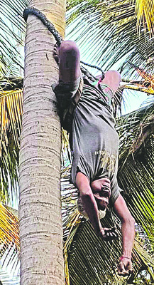 విద్యుత్‌ స్తంభం పడి  సైక్లిస్టు మృతి 1