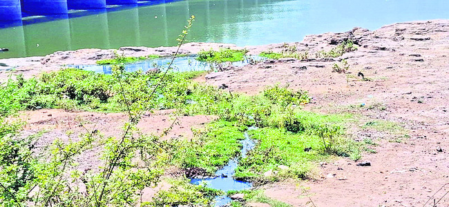 కాలుష్య కోరల్లో కృష్ణమ్మ1