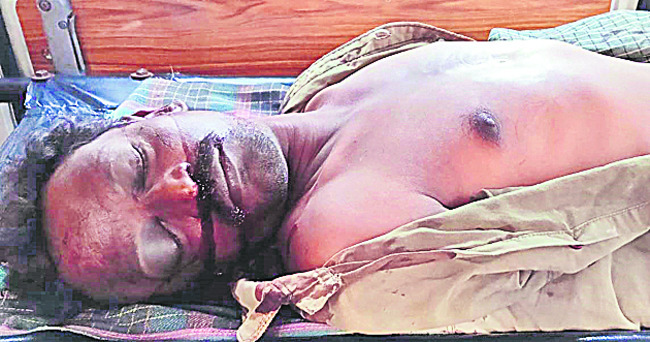 పంపాలో  కొండచిలువ హల్‌చల్‌ 1