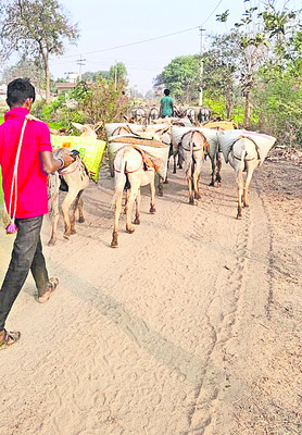 ఇసుక ‘తోడే’ళ్లు1