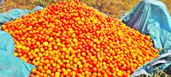 నోటమాట లేదు! 1