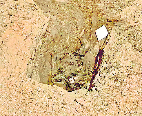 అమ్మా..నాకేంటీ దుర్గతి?1