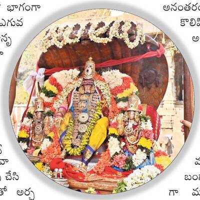 శేష వాహనంపై అహోబిలేశుడు1