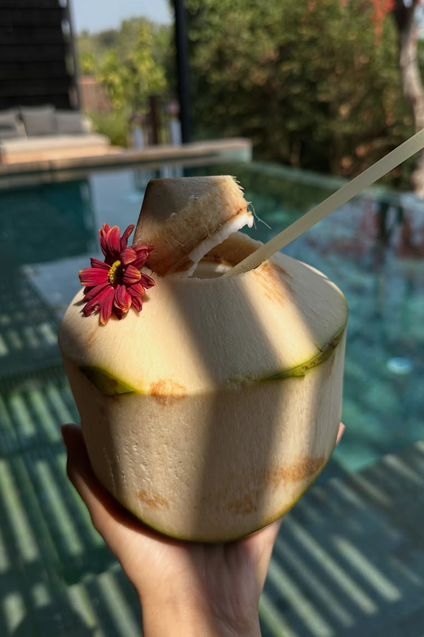 Actress Ritu Varma Enjoying Vacation In Thailand With Family Photos12