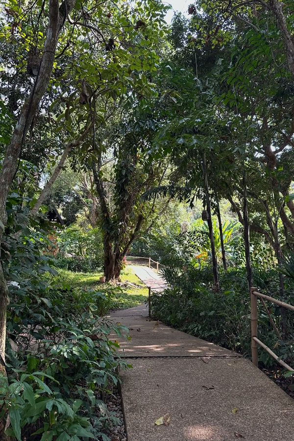 Actress Ritu Varma Enjoying Vacation In Thailand With Family Photos7