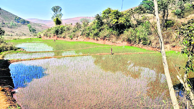 రైతే భగీరథుడు 2