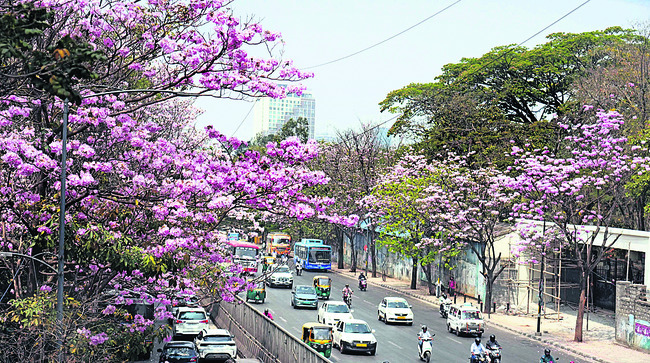 రామనగరపై మత్తు పడగ 2