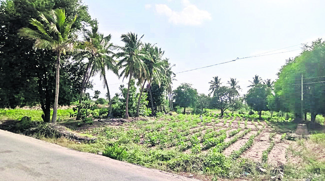 ●పెన్నమ్మకు గర్భశోకం 3