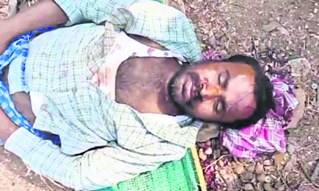 చింత చెట్టుపై నుంచి పడి కార్మికుడు మృతి1