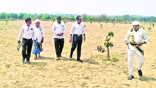 చింత చెట్టుపై నుంచి పడి కార్మికుడు మృతి2