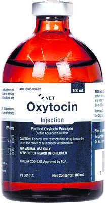 పాపాల వ్యాపారం1