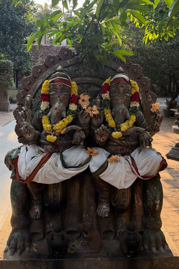 Actor Aadhi Pinisetty And Nikkigalrani couple visited Kumbakonam And Thanjavur temples PHotos3