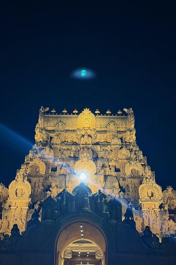 Actor Aadhi Pinisetty And Nikkigalrani couple visited Kumbakonam And Thanjavur temples PHotos8