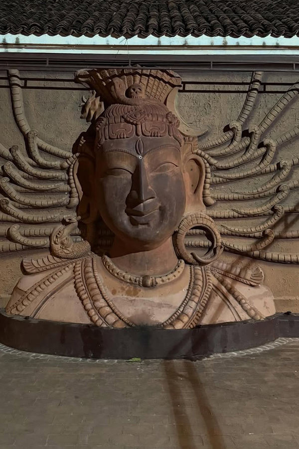 Actor Aadhi Pinisetty And Nikkigalrani couple visited Kumbakonam And Thanjavur temples PHotos10