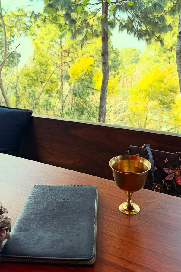 Actress Mehreen Pirzada enjoying vacation Photos7