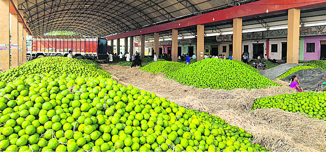 ధర ఢమాలు.. రైతు కుదేలు 1