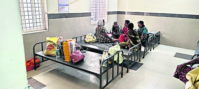 కేంద్ర మంత్రి పూజలు
1